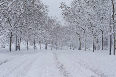 Madrid, İspanya - 9 Ocak 2021: Madrid sokakları karla kaplandı, Fırtına Filomena. Madrid 'de şiddetli kar yağışı var. Kar kaplı arabalar.