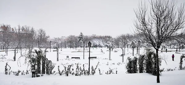 Madrid España Enero 2021 Parques Madrid Congelados Por Nieve Storm — Foto de Stock