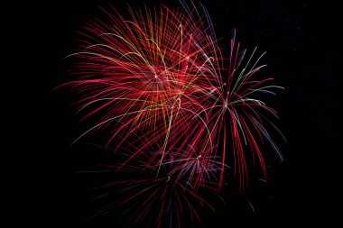 Renkli havai fişekler. Renkli palmiye ağaçları. Piroteknik