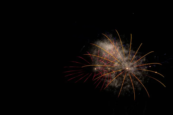 Gekleurd Vuurwerk Kleurpalmbomen Pyrotechniek — Stockfoto