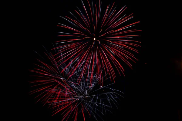 Barevný Ohňostroj Barevné Palmy Pyrotechnika — Stock fotografie