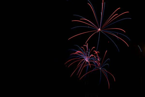 Gekleurd Vuurwerk Kleurpalmbomen Pyrotechniek — Stockfoto