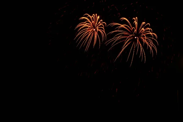 Barevný Ohňostroj Barevné Palmy Pyrotechnika — Stock fotografie