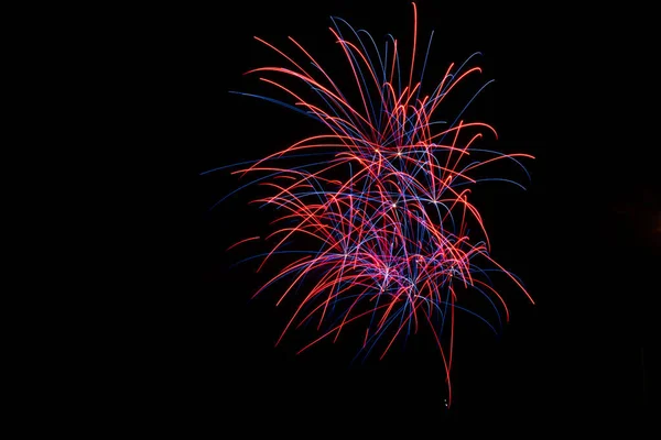 Gekleurd Vuurwerk Kleurpalmbomen Pyrotechniek — Stockfoto