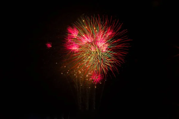 Gekleurd Vuurwerk Kleurpalmbomen Pyrotechniek — Stockfoto