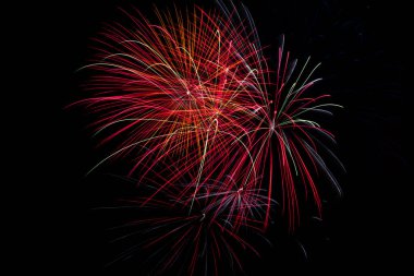 Renkli havai fişekler. Renkli palmiye ağaçları. Piroteknik