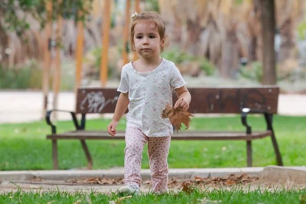 Liten Flicka Plockar Upp Höstlöv Parken — Stockfoto