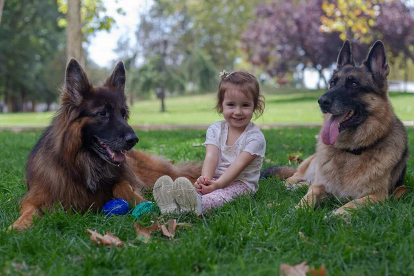 Kislány Játszik Német Juhász Kutyák Parkban — Stock Fotó