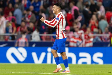 Madrid, İspanya - 18 Ekim 2025: Atletico Madrid ile Osasuna arasında oynanan La Liga maçı Metropolitano 'da oynandı. Maç boyunca Atletico Madrid ve Osasuna oyuncuları.