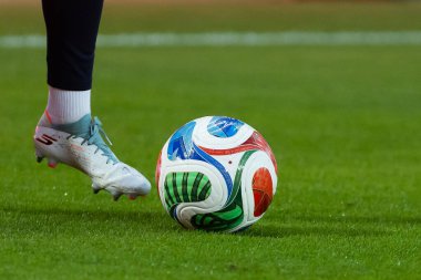 Malaga, İspanya - 24 Ekim 2025: İspanya Milli Takımı ile İsveç milli takımı arasında oynanan UEFA Uluslar Ligi maçı. Kadın milli futbol takımı. Kadın futbolu.