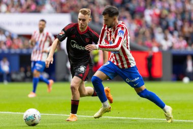 Madrid, İspanya - 1 Kasım 2025: Madrid 'de Atletico Madrid ile Sevilla FC arasında oynanan lig maçı. Maç sırasında Sevilla FC oyuncuları. Sevilla FC takımı. EA Spor Ligi 2025