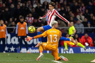 Madrid, Spain - November 29, 2025: League match between Atletico Madrid and Real Oviedo played in Madrid. Oviedo players during the match. EA SPORTS League 2025.