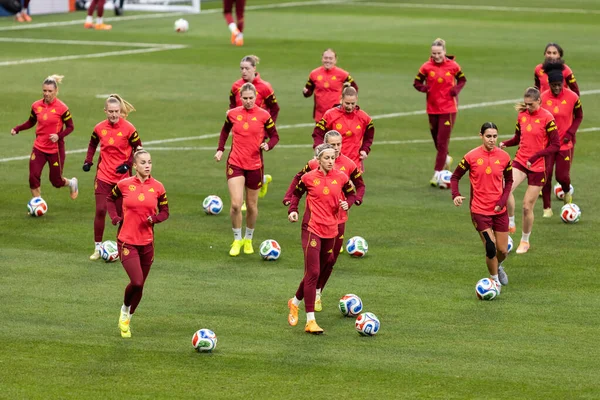 Madrid, İspanya - 2 Aralık 2025: Christian Wuck ve Elisa Senss Madrid 'de düzenlenen Kadın Milletler Ligi finali öncesinde basın toplantısı ve eğitim oturumunda.