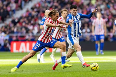 Madrid, İspanya - 19 Ocak 2026: Madrid 'de Atletico Madrid ile Alaves arasında oynanan lig maçı. Maç sırasında Atletico Madrid oyuncuları. EA Spor Ligi 2026. İspanyol futbolu.
