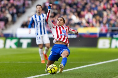 Madrid, İspanya - 19 Ocak 2026: Madrid 'de Atletico Madrid ile Alaves arasında oynanan lig maçı. Maç sırasında Atletico Madrid oyuncuları. EA Spor Ligi 2026. İspanyol futbolu.