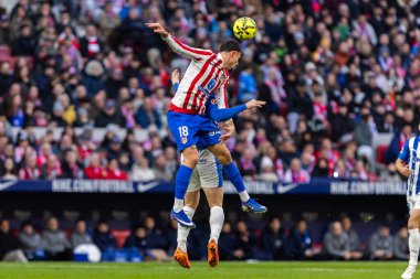 Madrid, İspanya - 19 Ocak 2026: Madrid 'de Atletico Madrid ile Alaves arasında oynanan lig maçı. Maç sırasında Atletico Madrid oyuncuları. EA Spor Ligi 2026. İspanyol futbolu.