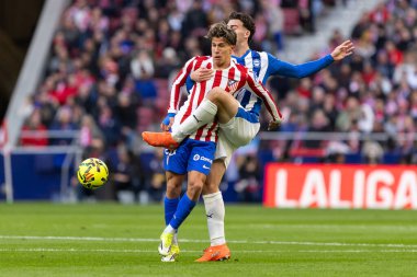 Madrid, İspanya - 19 Ocak 2026: Madrid 'de Atletico Madrid ile Alaves arasında oynanan lig maçı. Maç sırasında Atletico Madrid oyuncuları. EA Spor Ligi 2026. İspanyol futbolu.