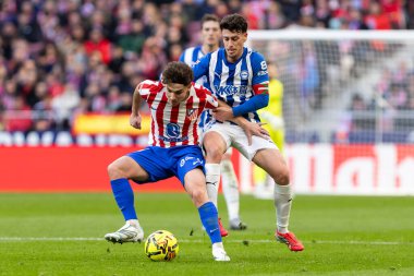 Madrid, İspanya - 19 Ocak 2026: Madrid 'de Atletico Madrid ile Alaves arasında oynanan lig maçı. Maç sırasında Atletico Madrid oyuncuları. EA Spor Ligi 2026. İspanyol futbolu.