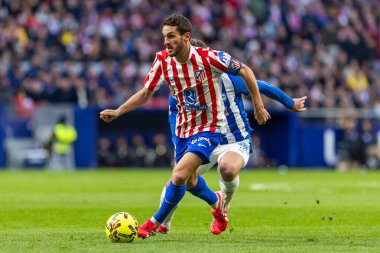 Madrid, İspanya - 19 Ocak 2026: Madrid 'de Atletico Madrid ile Alaves arasında oynanan lig maçı. Maç sırasında Atletico Madrid oyuncuları. EA Spor Ligi 2026. İspanyol futbolu.