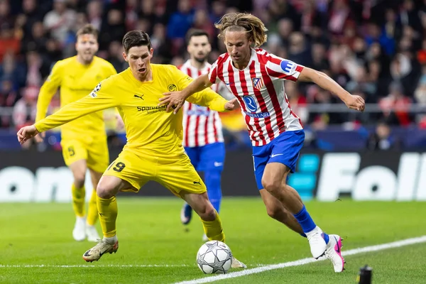 Madrid, İspanya - 28 Ocak 2026: Madrid 'de Atletico Madrid ile Pod / Glimt arasında oynanan Şampiyonlar Ligi maçı. Maç sırasında Pod / Glimt oyuncuları. Şampiyonlar Ligi 2026.