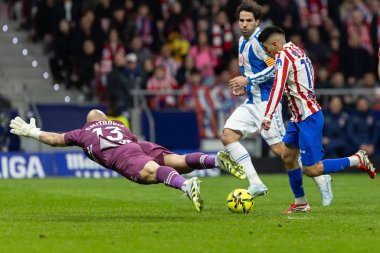 Madrid, İspanya - 21 Şubat 2026: Atletico Madrid ile RCD Espanyol arasında oynanan lig maçı. Maç sırasında RCD Espanyol oyuncuları.