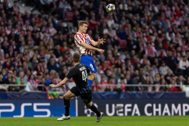 Madrid, İspanya - 24 Şubat 2026: Atltico de Madrid ile Club Brugge arasında oynanan Şampiyonlar Ligi maçı. Maç sırasında Club Brugge oyuncuları. Şampiyonlar Ligi. Nakavt Aşaması.