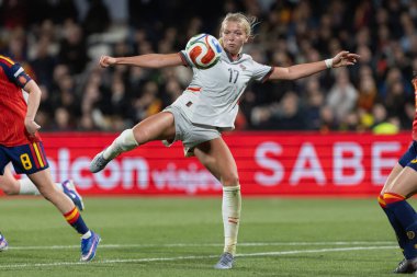 Castellon, İspanya - 3 Mart 2026: İspanya ile İzlanda arasındaki Dünya Kupası ön eleme maçı Castellon de la Plana 'da oynandı. İzlandalı oyuncular.