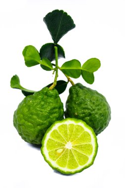 Güney Afrika'da bir kabile ile yaprak