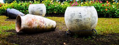 Bir bahçe çiçek toprak kaplarda