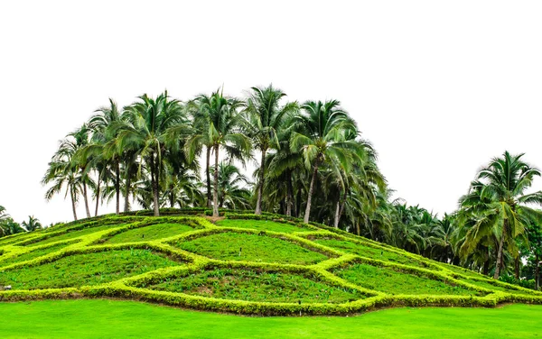 Landscaped garden at Chiang Mai Royal Park — Stock Photo, Image