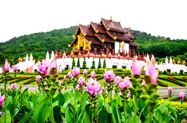 Museo en Royal Garden — Foto de Stock