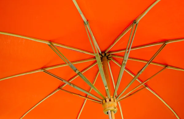 Under en paraply – stockfoto