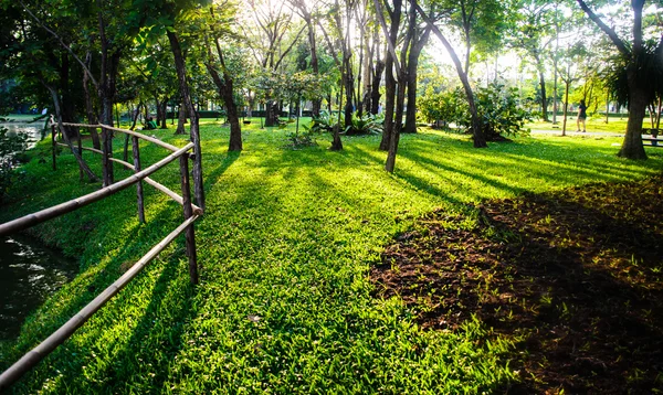 夕暮れの公園 — ストック写真