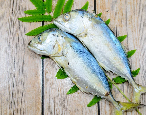 Pesce gemello — Foto Stock