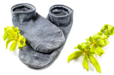 Sox ve çiçekler