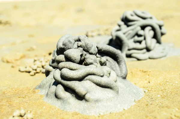 Ghost Crab Burrows — Stock Photo, Image