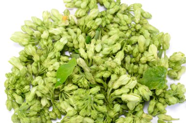 Çiçeği sarmaşık yakın zup