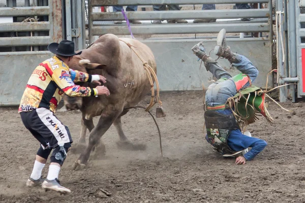 Payaso de rodeo —  Fotos de Stock