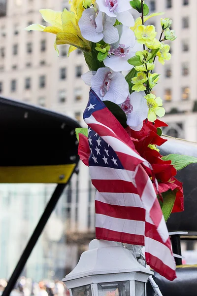 The Flag Bearer — Stock Photo, Image