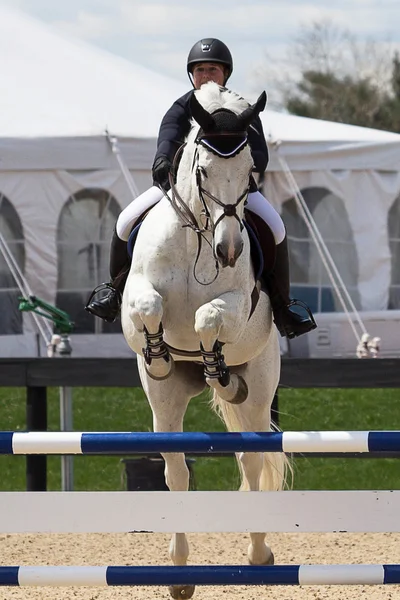 Prinzenspringen 2015 — Stockfoto