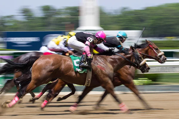 Finish Line at Belmont Stock Picture