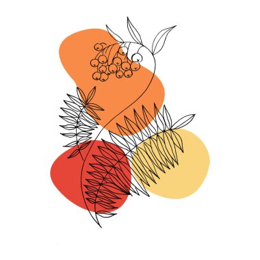 Yaprak ve böğürtlenli Rowan dalları. Modern tek satır sanatı. Vektör düşüşü çizimi. Posterler, duvar resimleri, çanta ya da tişört baskısı, çıkartma, mobil çanta gibi ev dekorasyonu için mükemmel