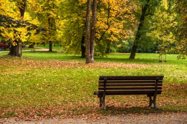 Sonbaharda parkta boş bir bank
