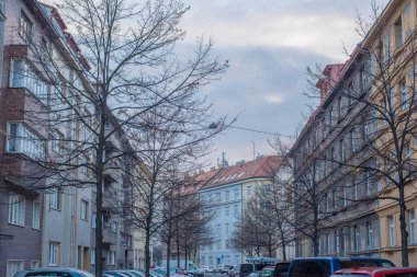 Sarı yapraklı güzel ağaçlar bir sonbahar gününde Prag 'ın 6. Bölgesi' nde binalarla çevrili. Prag, Çek Cumhuriyeti.