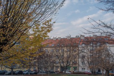 Sarı yapraklı güzel ağaçlar bir sonbahar gününde Prag 'ın 6. Bölgesi' nde binalarla çevrili. Prag, Çek Cumhuriyeti.