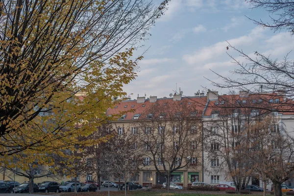 Beaux Arbres Avec Des Feuilles Jaunes Entourés Bâtiments Prague Partie — Photo