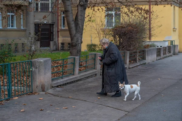 Praha Tsekin Tasavalta 2020 Kaunis Urbaani Kohtaus Korostaen Praha Bubenec — kuvapankkivalokuva