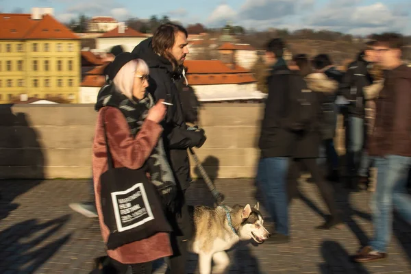 Praga República Checa 2020 Los Turistas Están Caminando Puente Carlos —  Fotos de Stock