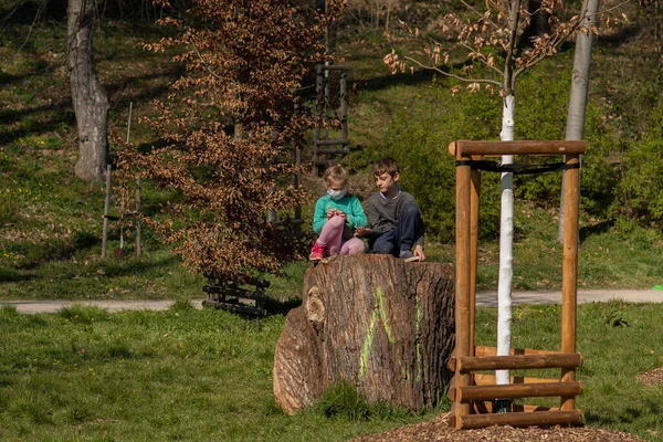 Прага Чехия 2020 Два Маленьких Ребенка Разговаривают Сидя Стволе Дерева — стоковое фото