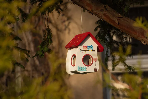 Petite Maison Faite Pour Les Oiseaux Nichoir Dans Jardin Ancien — Photo